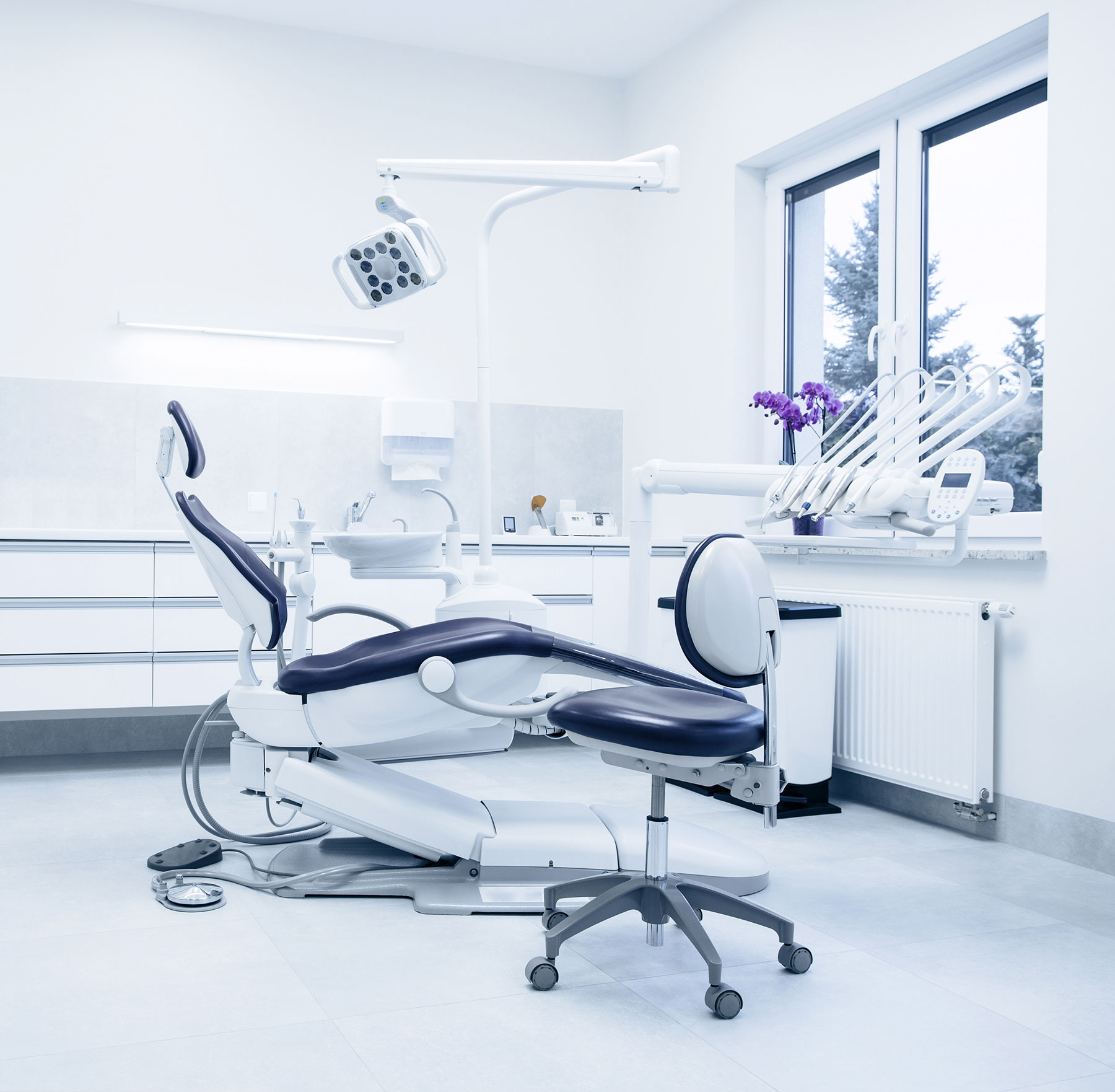 Dentist In Richmond Hill Dental Office In Richmond Hill Roosevelt Cosmetic Dentist